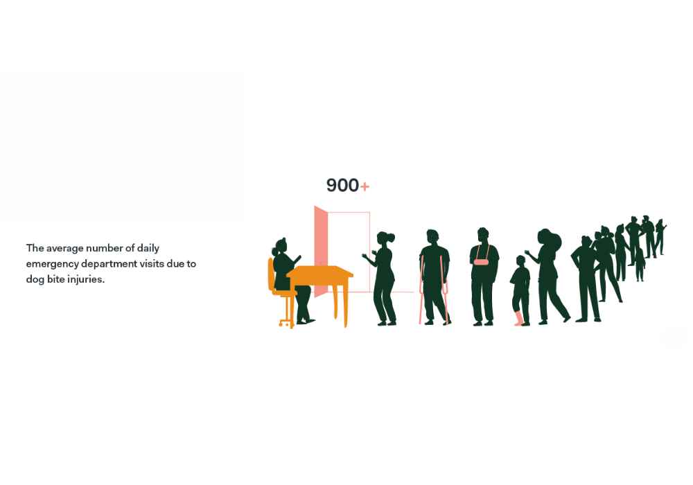 What Dog Breed Kills Humans the Most?