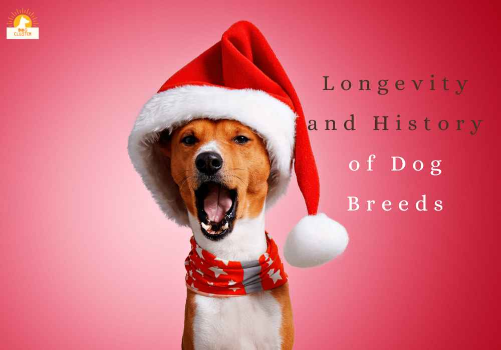 Longevity and History of Dog Breeds