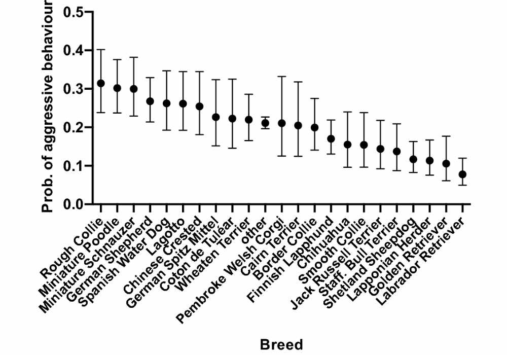 How Breed Contributes to Aggression