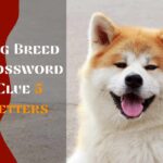 Dog Breed Crossword Clue 5 Letters