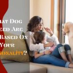 What Dog Breed Are You Based On Your Personality?