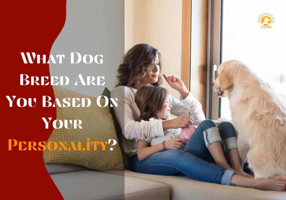 What dog breed are you based on your personality?